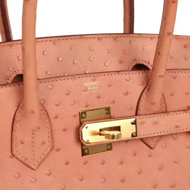HERMÈS Hermes Birkin 30 Terre Cuite Ostrich Gold Hardware | Thumbnail 7 HERMÈS Hermes Birkin 30 Terre Cuite Ostrich Gold Hardware | Thumbnail 7