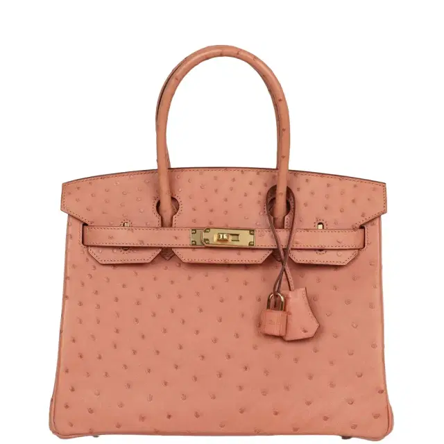 HERMÈS Hermes Birkin 30 Terre Cuite Ostrich Gold Hardware
