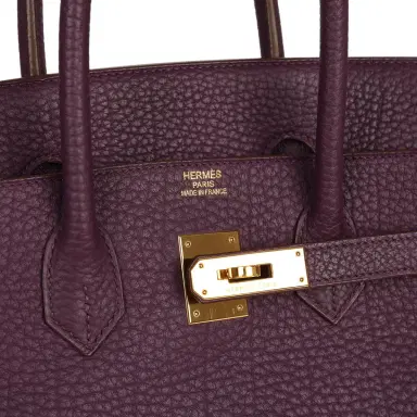 HERMÈS Pre-owned Hermes Birkin 35 Cassis Fjord Gold Hardware | Thumbnail 7