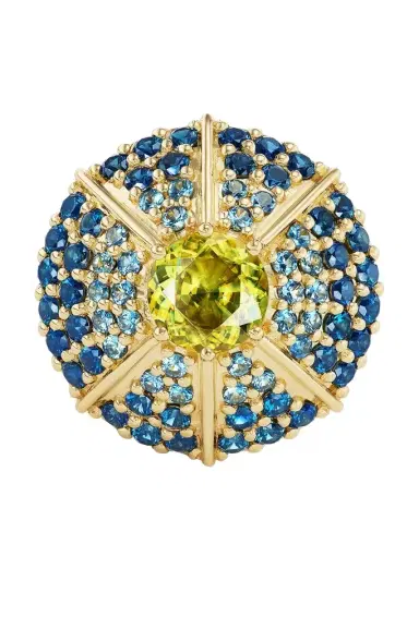 MEREDITH YOUNG Sapphire Mossy Way Ring | Thumbnail 1