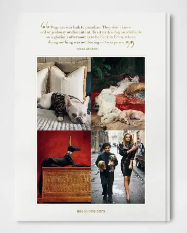 ASSOULINE "Chic Dogs" Book by Robert Williams | Thumbnail 5 ASSOULINE "Chic Dogs" Book by Robert Williams | Thumbnail 5