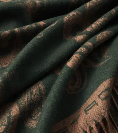 Etro Fringed paisley wool throw | Thumbnail 4
