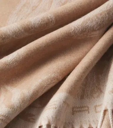 Etro Fringed paisley wool throw | Thumbnail 4