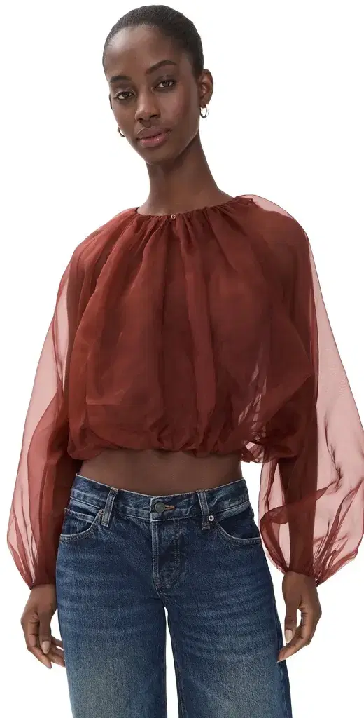 Frame The Sheer Balloon Blouse