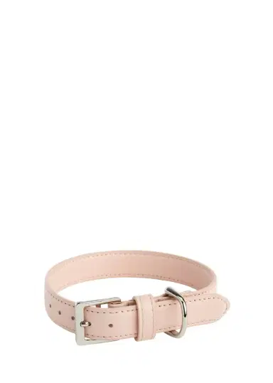 Royce New York Personalized Leather Small Dog Collar, Personalized | Thumbnail 1