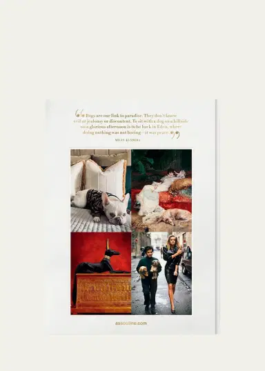 ASSOULINE "Chic Dogs" Book by Robert Williams | Thumbnail 5