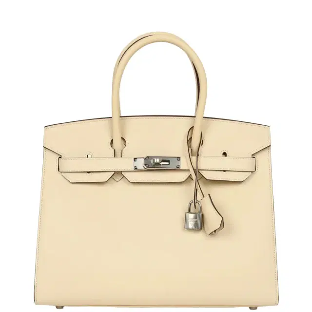 HERMÈS Hermes Birkin Sellier 30 Nata Epsom Palladium Hardware