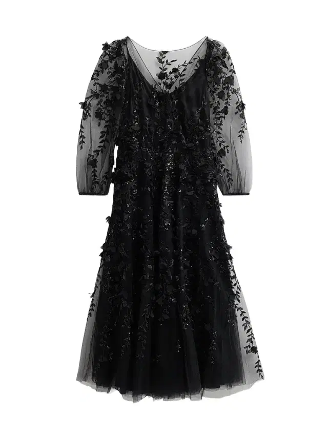 MAISON COMMON Women's Floral Embroidered Tulle Illusion Midi Dress