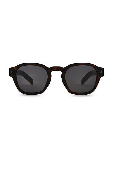 Prada Round Frame Sunglasses in Brown Tortoise