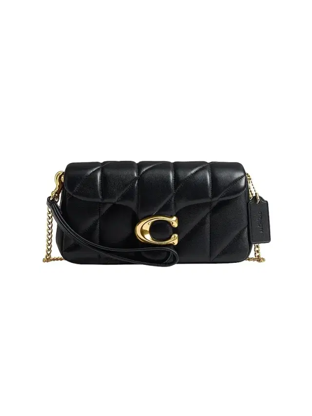 Coach Women's Tabby Quilted Leather Chain Crossbody Bag 19