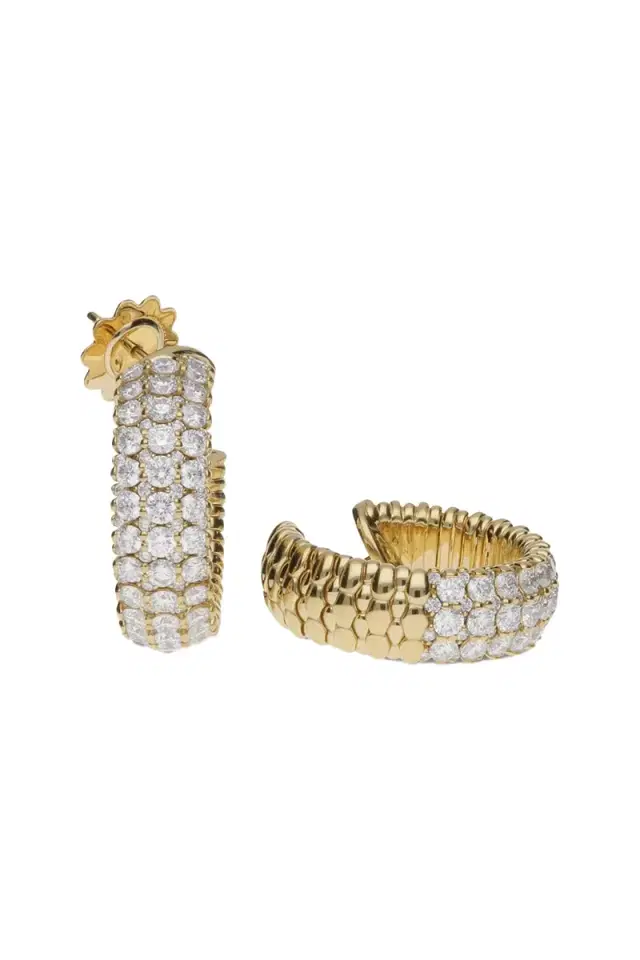 ROBERTO DEMEGLIO Diamond Half Giotto Earrings