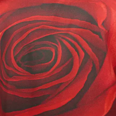 Roberto Cavalli Shirt With Garden Rose Print | Thumbnail 4