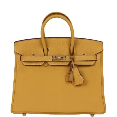 HERMÈS Hermes Birkin 25 Curry Togo Gold Hardware | Thumbnail 1 HERMÈS Hermes Birkin 25 Curry Togo Gold Hardware | Thumbnail 1