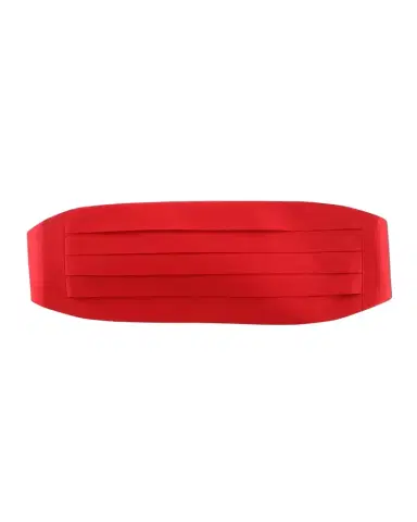 Trafalgar Men's Sutton Pleated Satin Cummerbund | Thumbnail 1