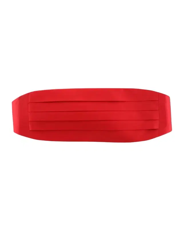 Trafalgar Men's Sutton Pleated Satin Cummerbund