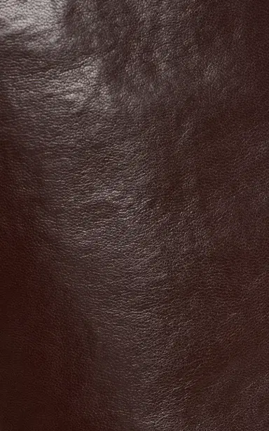 AGOLDE Lana Leather Straight-Leg Pants | Thumbnail 6