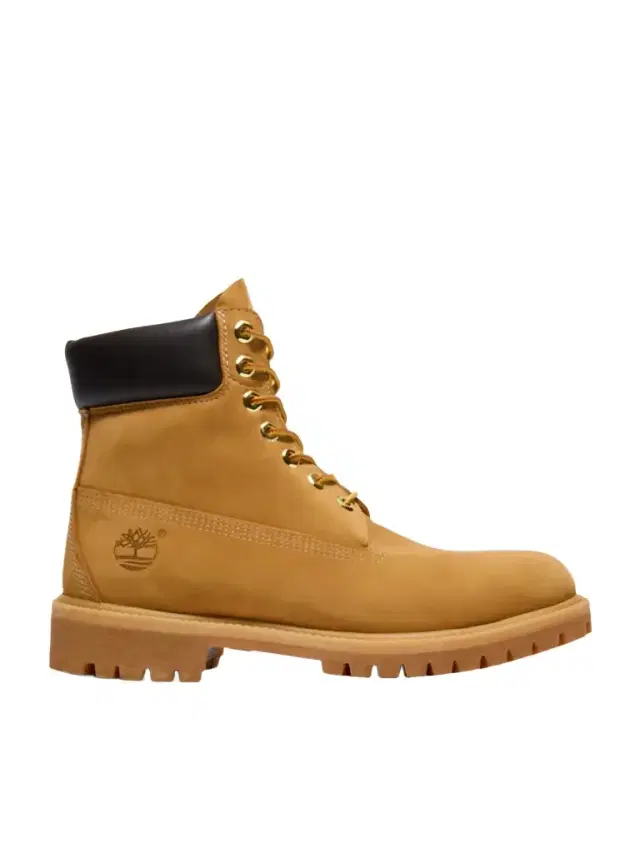 Timberland Premium 6-Inch Suede Lace-Up Boots - Men