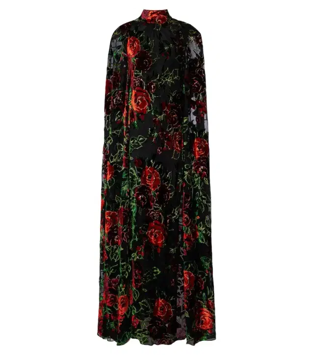Rodarte Floral devoré velvet gown