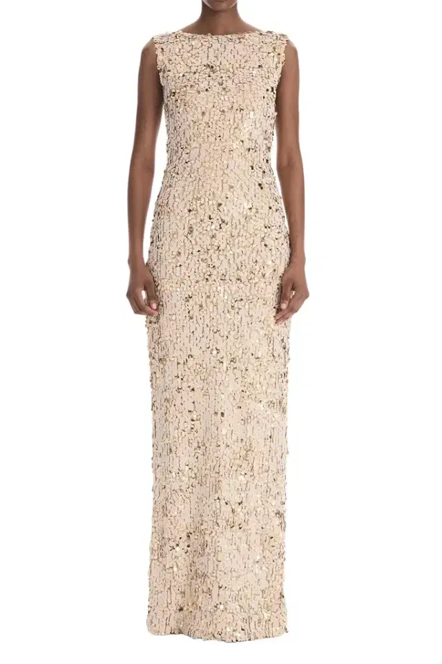 Oscar de la Renta Sleeveless Velvet Paillettes Chiffon Gown