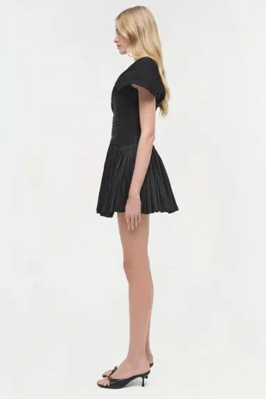 Simkhai Avarie Plisse Mini Dress | Thumbnail 4