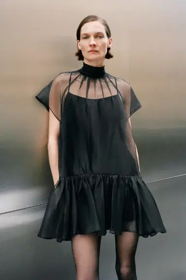 Simkhai Beaux Organza Dress | Thumbnail 2