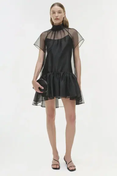 Simkhai Beaux Organza Dress | Thumbnail 3