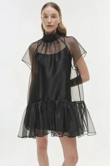 Simkhai Beaux Organza Dress | Thumbnail 4