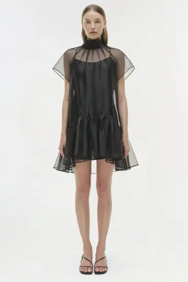 Simkhai Beaux Organza Dress | Thumbnail 7