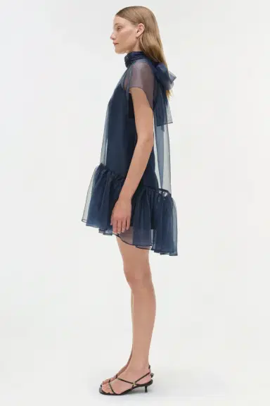Simkhai Beaux Organza Dress | Thumbnail 4 Simkhai Beaux Organza Dress | Thumbnail 4