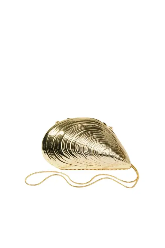 Simkhai Bridget Metal Oyster Clutch