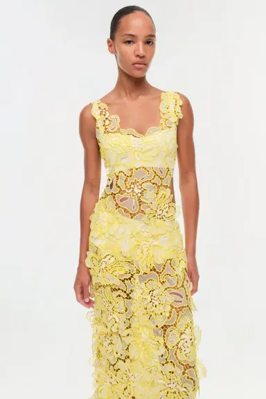 Simkhai Corinna Lace Midi Dress | Thumbnail 3
