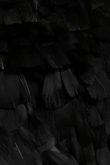 Simkhai Karlene Feather Mini Dress | Thumbnail 8 Simkhai Karlene Feather Mini Dress | Thumbnail 8