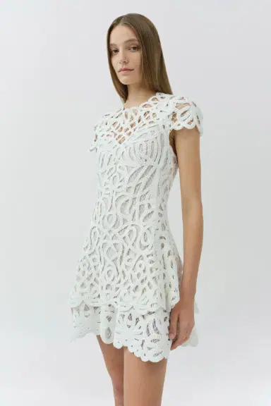 Simkhai Lina Lace Mini Dress | Thumbnail 3
