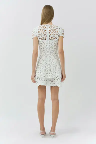 Simkhai Lina Lace Mini Dress | Thumbnail 5