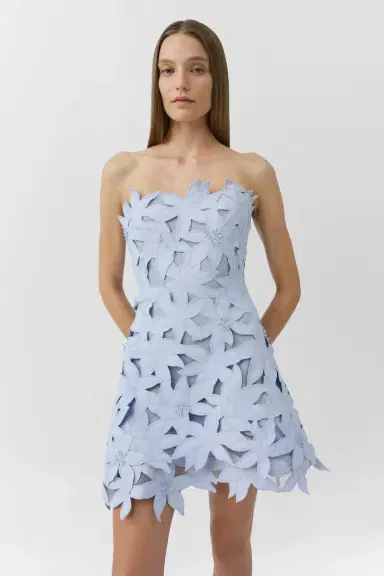 Simkhai Miri Embroidered Cotton Bustier Mini Dress | Thumbnail 4