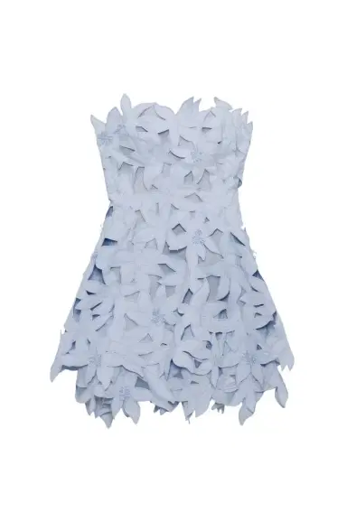 Simkhai Miri Embroidered Cotton Bustier Mini Dress | Thumbnail 1