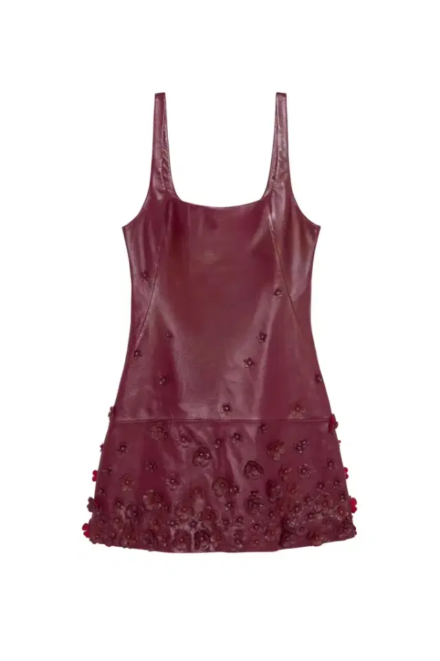 Simkhai Talen Floral Leather Mini Dress