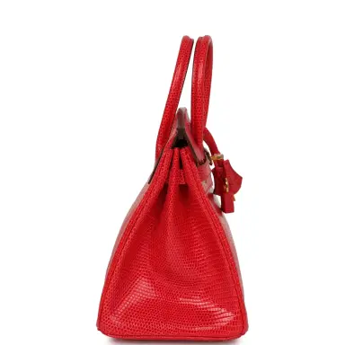 HERMÈS Hermes Birkin 25 Bougainvillea Shiny Varanus Niloticus Lizard Gold Hardware | Thumbnail 3 HERMÈS Hermes Birkin 25 Bougainvillea Shiny Varanus Niloticus Lizard Gold Hardware | Thumbnail 3