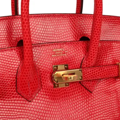 HERMÈS Hermes Birkin 25 Bougainvillea Shiny Varanus Niloticus Lizard Gold Hardware | Thumbnail 7 HERMÈS Hermes Birkin 25 Bougainvillea Shiny Varanus Niloticus Lizard Gold Hardware | Thumbnail 7