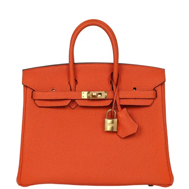 HERMÈS Hermes Birkin 25 Feu Togo Gold Hardware