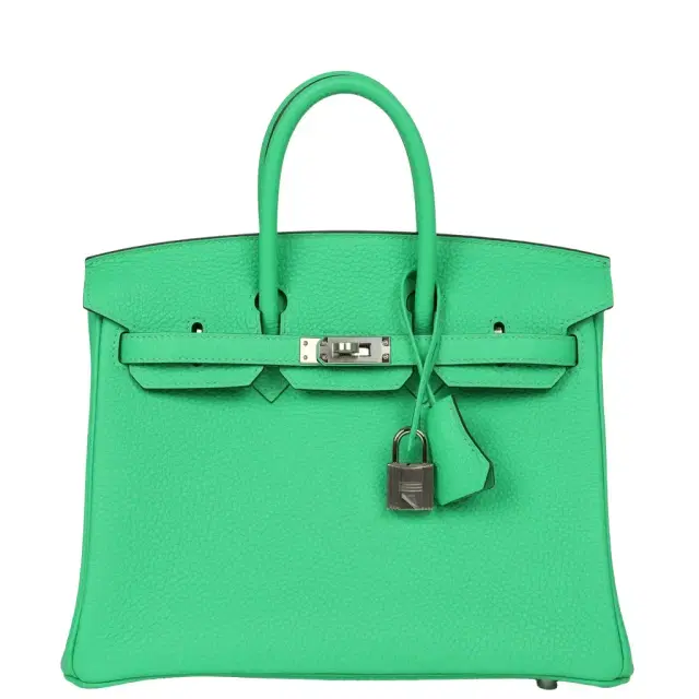 HERMÈS Hermes Birkin 25 Vert Comics Togo Palladium Hardware