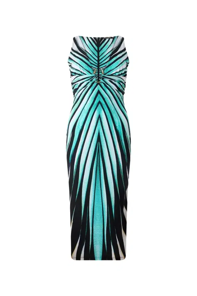 Roberto Cavalli Ray Of Sea Print Dress Midi