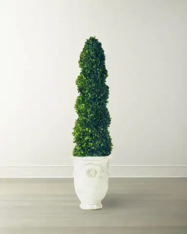 Winward Home Boxwood Spiral in Tuscan Urn | Thumbnail 1
