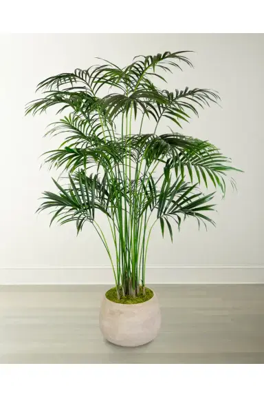 Winward Home Kentia Large Palm in Planter | Thumbnail 2