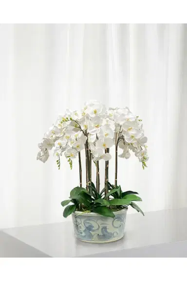 Winward Home Orchids in Ceramic Pot | Thumbnail 2