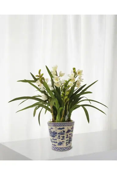 Winward Home Faux Cymbidium Orchids w/ Pot | Thumbnail 2
