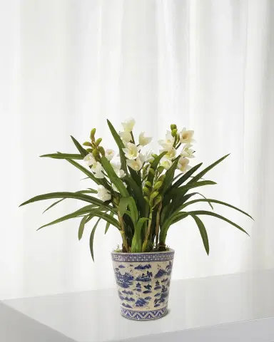 Winward Home Faux Cymbidium Orchids w/ Pot | Thumbnail 1
