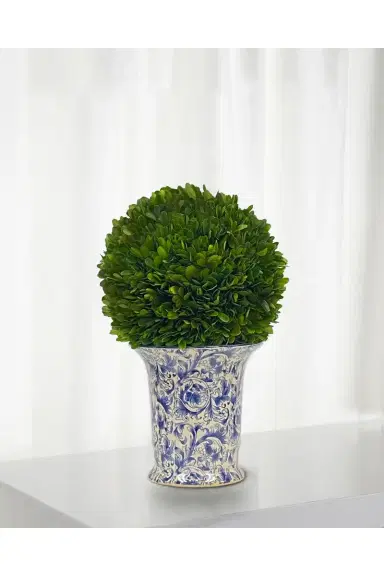 Winward Home Preserved Boxwood Ball in Porcelain Vase - 14" | Thumbnail 2