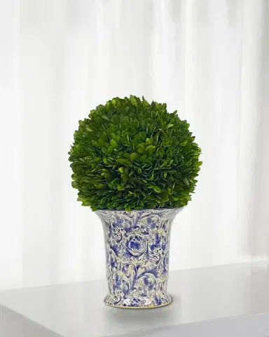 Winward Home Preserved Boxwood Ball in Porcelain Vase - 14" | Thumbnail 1