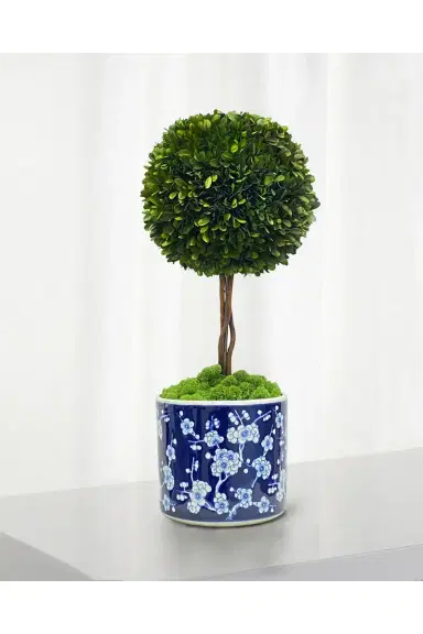 Winward Home Preserved Boxwood Ball Topiary In Round Porcelain Vase - 24" | Thumbnail 2